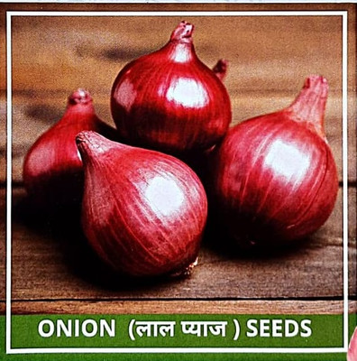WILLVINE ROX -VI ONION DESI TEJAS-57 SEED [1g] Seed(750 per packet)