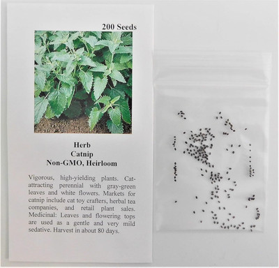 Qualtivate XLR-49 Catnip (Nepeta cataria) Seed(1000 per packet)