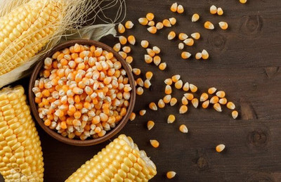 LPR SWEET CORN Seed(20 per packet)