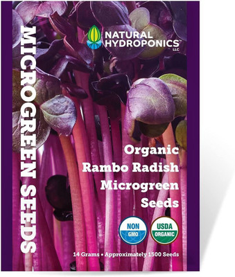 WILLVINE Radish Seed(500 per packet)