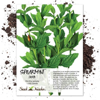 CYBEXIS NBIR-59 - Spearmint - (450 Seeds) Seed(450 per packet)