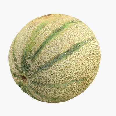 VibeX LX-13 - Hara Madhu Kharbuj / Musk Melon - (1350 Seeds) Seed(1350 per packet)