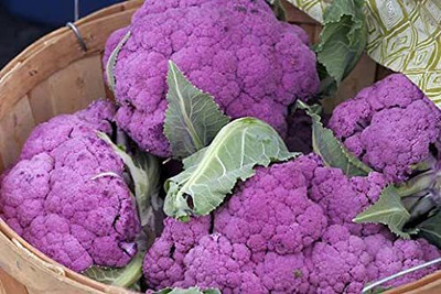 Aywal F1 Hybrid Purple Cauliflower Vegetable Seed(160 per packet)