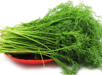 KNESSiN Fennel Seed(200 per packet)
