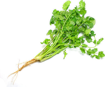 EKAKSHAR CORIANDER Seed(40 per packet)