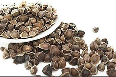 CYBEXIS PAU-62 - Pkm-1 Drumstick(Moringa) - (1350 Seeds) Seed(1350 per packet)