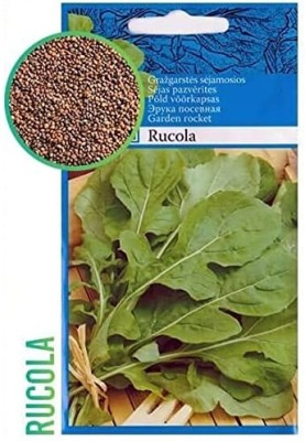 KNESSiN Imported Rucola Seed(250 per packet)