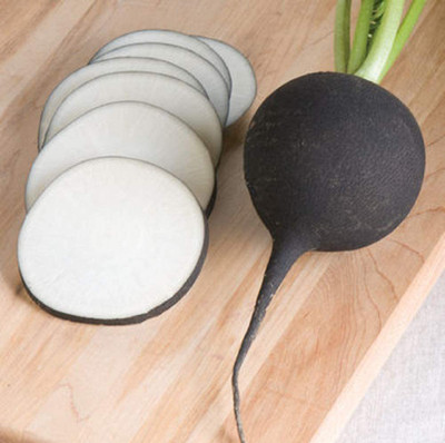 CYBEXIS TLX-41 - Radish Nero Tondo(Black) - (2250 Seeds) Seed(2250 per packet)