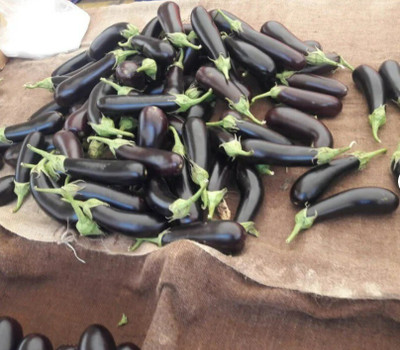 Avysa Brinjal Seed(100 per packet)