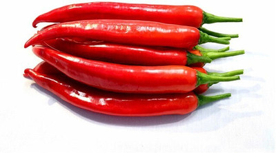 Farmonix Big Red Chili Seed(300 per packet)