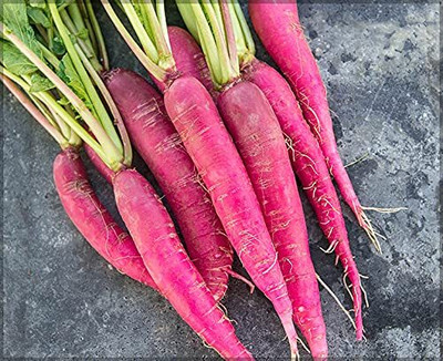 Aywal Raddish / Muli / Mooli49 Seed(1200 per packet)