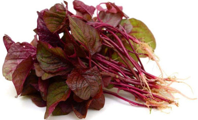 Aywal Farmer Hybrid Spinach Red(Amaranthus) Lal Saag Cheera Seed(1000 per packet)