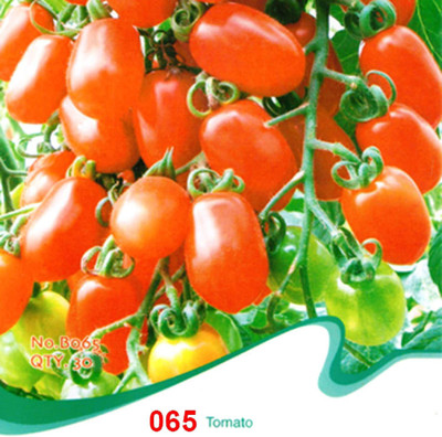 CYBEXIS Red Tomato Seeds 2000 Seeds Seed(2000 per packet)