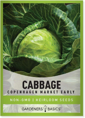 WILLVINE SCI -VI Copenhagen Market Early Cabbage Seeds [25g] Seed(7500 per packet)