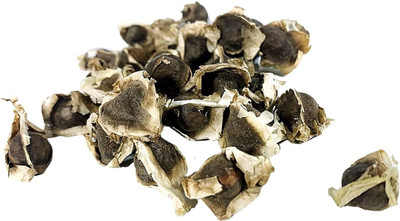 Qualtivate VXL-3AT WINGLESS Sun-Dried, PKM1 Drumstick Seeds Seed(50 per packet)
