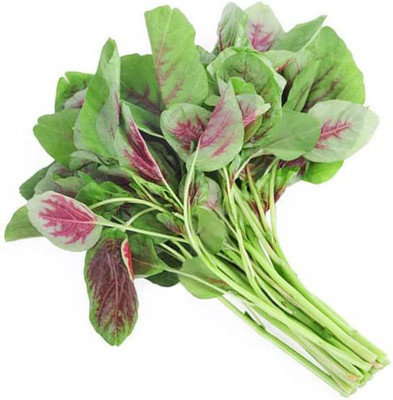 CYBEXIS VXI-19 - Amaranth for Planting - (750 Seeds) Seed(750 per packet)