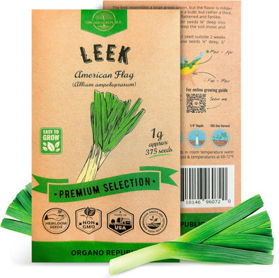 Biosnyg American Flag Leek Vegetable Seeds For Gardening-(750 Seeds) Seed(750 per packet)