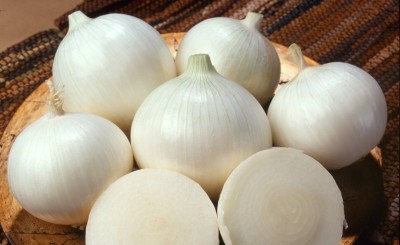 KNESSiN Onion Super White Globe-{1200 Seeds} Seed(1200 per packet)