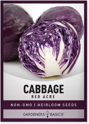 Qualtivate GBPT-3A Cabbage Red Acre Heirloom Seed(300 per packet)