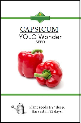 Biosnyg YOLO Wonder Red Capsicum Seeds-200 Seeds/1gm Seed(200 per packet)