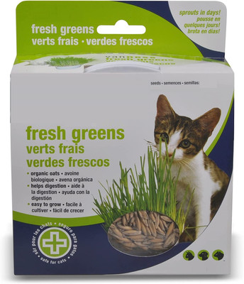 CYBEXIS LXI-56 - Pet/Cat Grass - (4500 Seeds) Seed(4500 per packet)