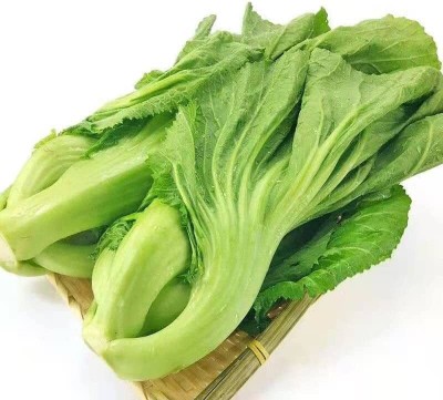 CYBEXIS XLL-35 - Chinese Mustard - Small Gai Choi - (750 Seeds) Seed(750 per packet)