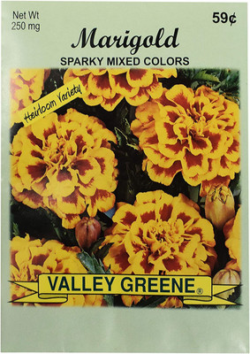 CYBEXIS NBIR-42 - Marigold - Sparky Mixed - (750 Seeds) Seed(750 per packet)