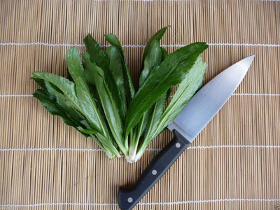 WILLVINE XLL-159 Vietnamese Coriander,Ngo Gai, Shadon Beni Seed(500 per packet)