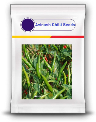 WILLVINE KGF -X Avinash chilli seeds | mirchi seeds[5gm, 1000 Seeds] Seed(1000 per packet)