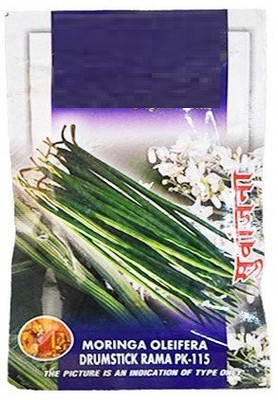 VibeX ® VLR-289 Moringa Oleifera Drumstick Seeds Seed(100 per packet)