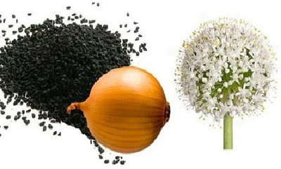 fixeded Onionseeds,seeds,vegetbleseeds Seed(100 per packet)