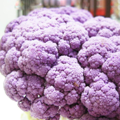 KNESSiN Purple Cauliflower Seed(1250 per packet)