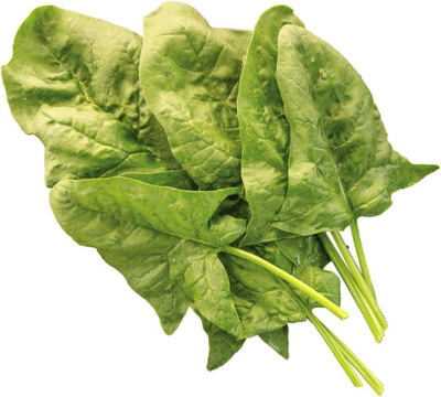 Qualtivate HUA-1A Double Take Spinach Seeds Seed(300 per packet)