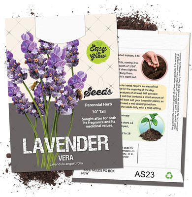 VibeX ® LXI-309 Lavender English Lavandula Angustifolia Seed(500 per packet)