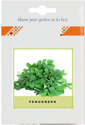 CYBEXIS Fenugreek2800 Seeds Seed(2800 per packet)