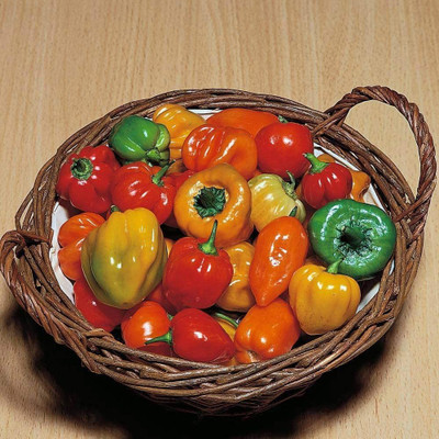 CYBEXIS Seeds of Caribbean Chilli Pepper Tropical Heat (Atomic)1200 Seeds Seed(1200 per packet)