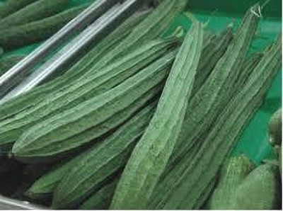 SHINU EVERGREEN Ridge gourd seeds Seed(20 per packet)
