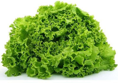 Aywal Round Lettuce Iceberg Vegetable Seed(175 per packet)