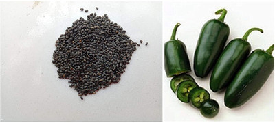 WILLVINE Sweet Genovese Basil & Pepper Jalapeno Pickled Chili Seeds-[200 Seeds] Seed(200 per packet)