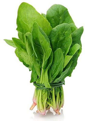 PMW Germination Purpose - Green Palak Seeds - Spinach Seeds - 100 Seeds Seed(100 per packet)