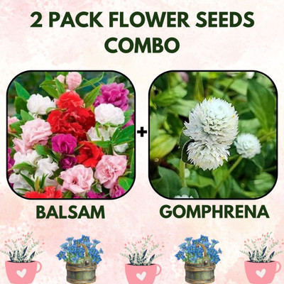 Infiniteseeds 2 Pack Combo of Balsam nd Gomphrena Flower Seeds Seed(2 per packet)