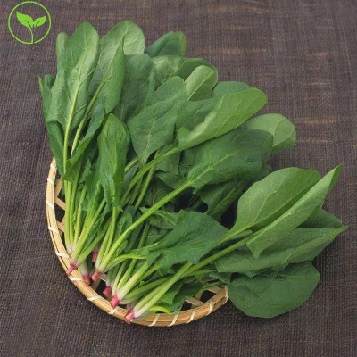 MYLAWN Palak Spinach Vegetables Seed(2000 per packet)
