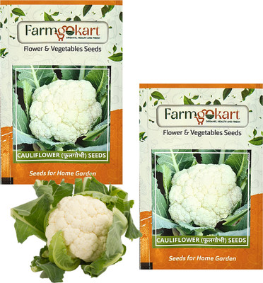 farmgokart |2 PACKETS OF CAULIFLOWER SEEDS|Quality Vegetable Seeds Pouch|Home Gardening Seed(100 per packet)
