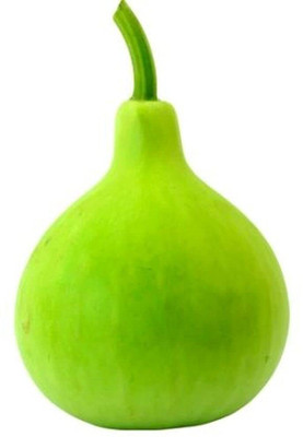KNESSiN Organic & Hybrid Botttle Gourd Bulb Seeds | Lattu Giya-[10gm] Seed(50 per packet)
