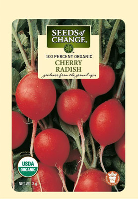 CYBEXIS GUA-32 - Cherry Radish Red - (750 Seeds) Seed(750 per packet)