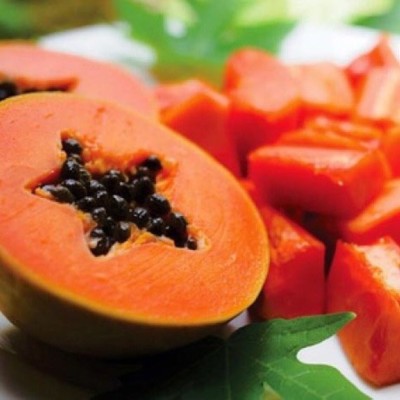 KLARKEE Florida Royale Papaya Seeds Seed(200 per packet)