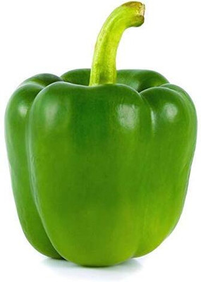 Aywal Shimla mirch Seed(700 per packet)