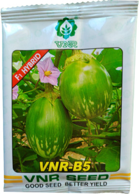 the green dotcom VNR BRINJAL SEED 10 GRAM Seed(120 per packet)