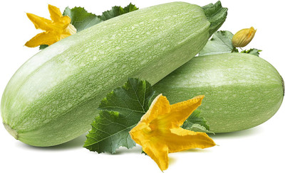 Qualtivate GBPT-1A Summer Squash, Zucchini Grey Seeds Seed(30 per packet)