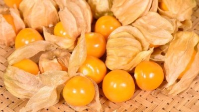 QALANDAR CAPE GOOSEBERRY SEEDS (PHYSALIS PERUVIANA) Seed(100 per packet)